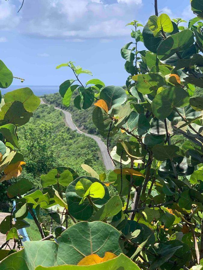 Coqui Beach Home, Culebra Isla Culebra エクステリア 写真