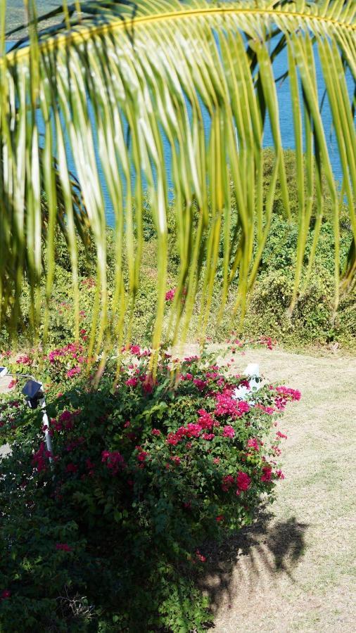 Coqui Beach Home, Culebra Isla Culebra エクステリア 写真