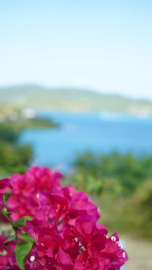Coqui Beach Home, Culebra Isla Culebra エクステリア 写真