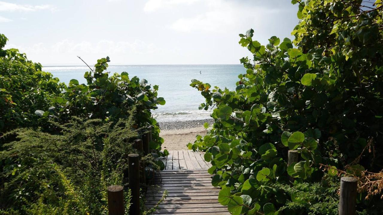 Coqui Beach Home, Culebra Isla Culebra エクステリア 写真